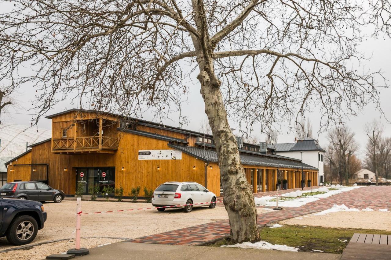 Central Home- Pesterzsebet Budapeszt Zewnętrze zdjęcie